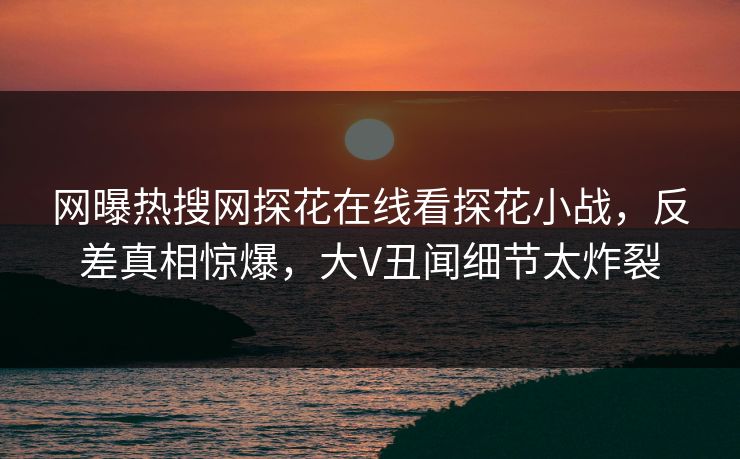 网曝热搜网探花在线看探花小战，反差真相惊爆，大V丑闻细节太炸裂  第1张