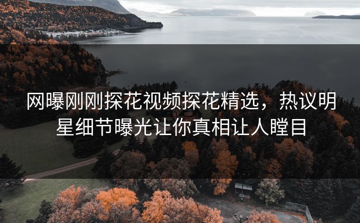 网曝刚刚探花视频探花精选，热议明星细节曝光让你真相让人瞠目