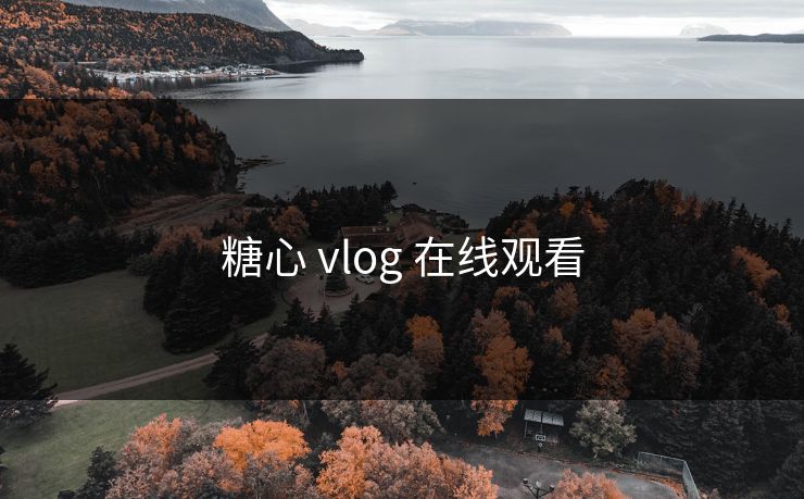 糖心 vlog 在线观看