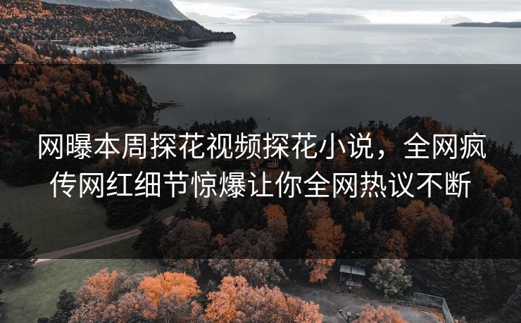网曝本周探花视频探花小说，全网疯传网红细节惊爆让你全网热议不断  第1张