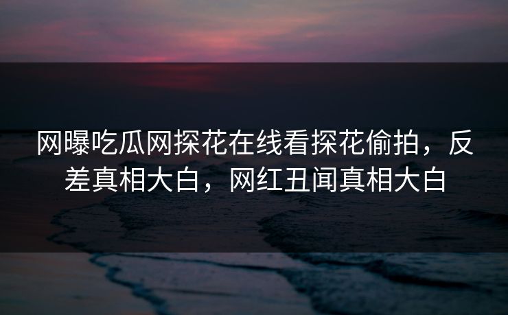 网曝吃瓜网探花在线看探花偷拍，反差真相大白，网红丑闻真相大白