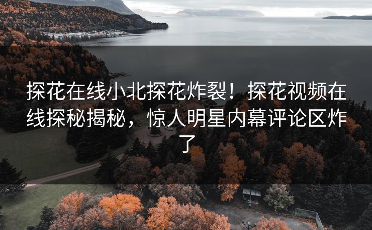 探花在线小北探花炸裂！探花视频在线探秘揭秘，惊人明星内幕评论区炸了  第1张