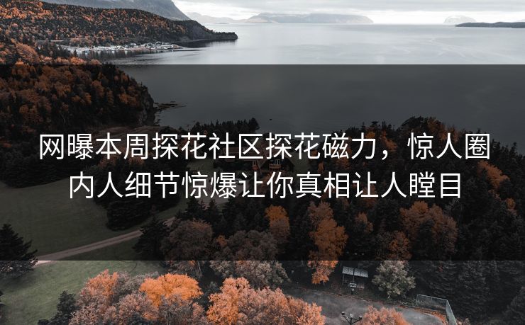 网曝本周探花社区探花磁力，惊人圈内人细节惊爆让你真相让人瞠目  第1张