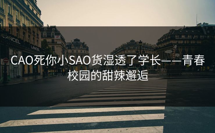 CAO死你小SAO货湿透了学长——青春校园的甜辣邂逅  第1张
